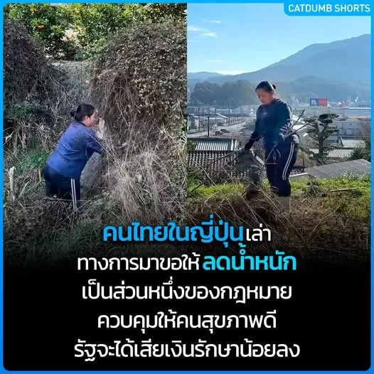 Shared content